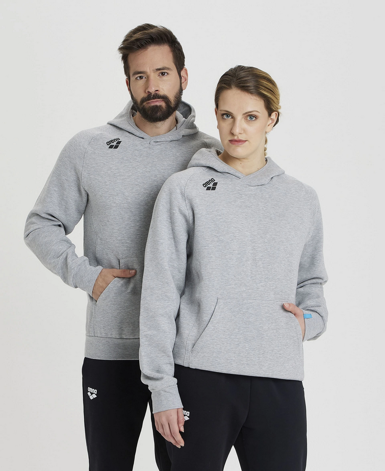 Arena Team Hooded Sweat Panel Grey