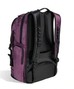 Arena ARENA ALL SET SPORTS SWIM BACKPACK 45L Plum