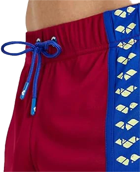 Arena Icons Team Stripe Bermuda Burgundy Retro