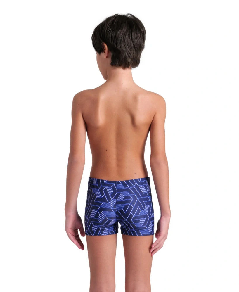 Arena Escape Swim Short