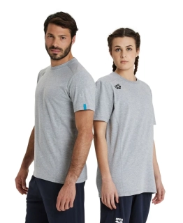 Arena Team T-Shirt Panel Gray